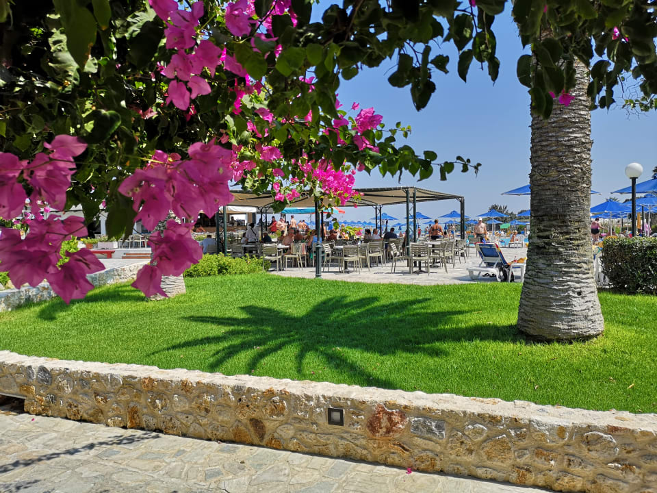 Gartenanlage Mastichari Bay Hotel