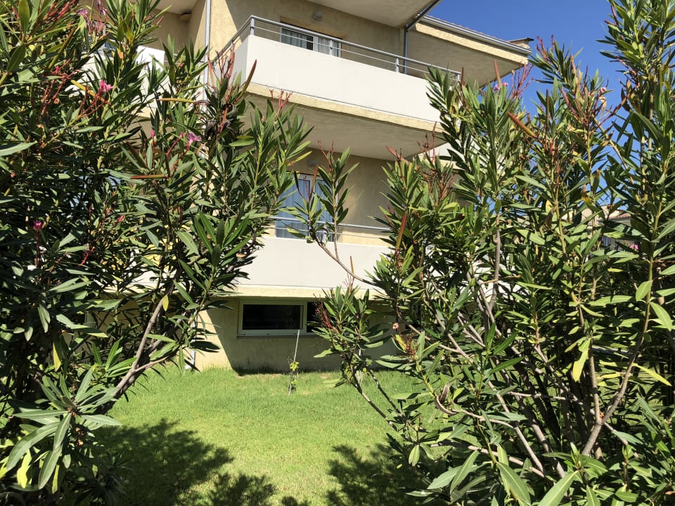 Garten alltoura Club Hotel Poseidon Palace