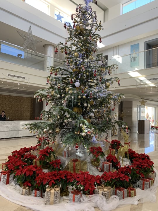Lobby Amarina Abu Soma Resort & Aquapark