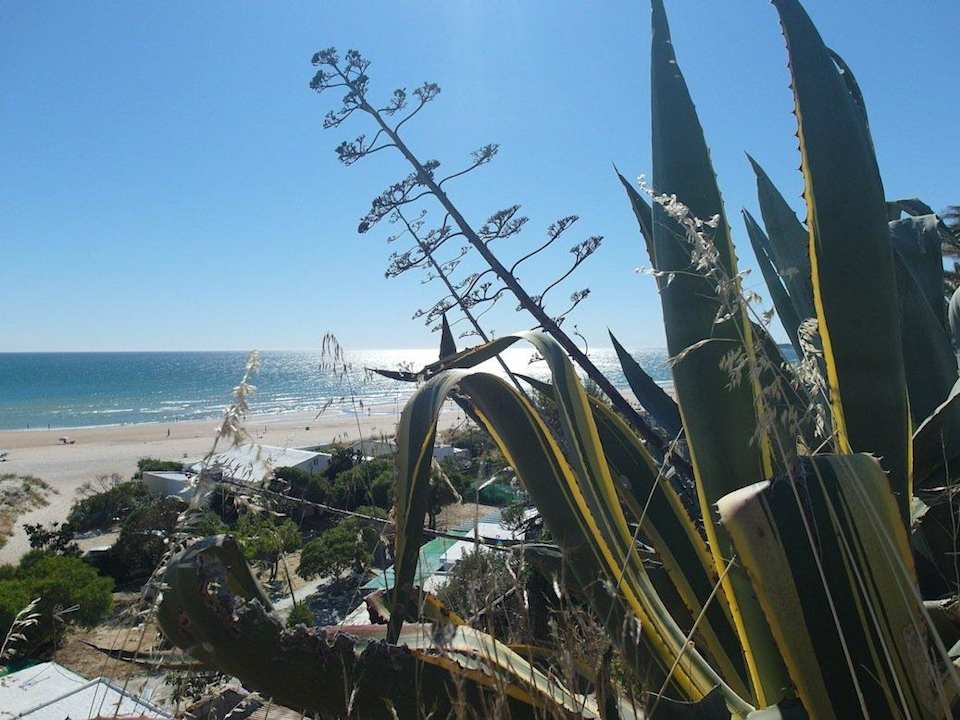 Atlantikstrand unterhalb des Hotels (100m entf.) Fuerte Conil-Resort