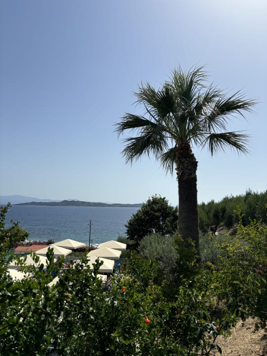 Ausblick Akrathos Beach Hotel