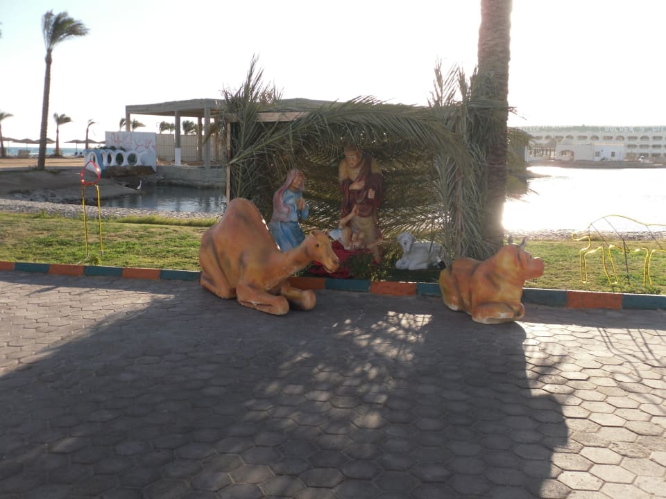 Weihnachten mal anders Blend Club Aqua Resort