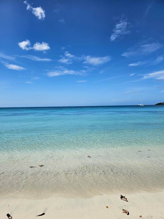 Strand Hotel Riu Negril