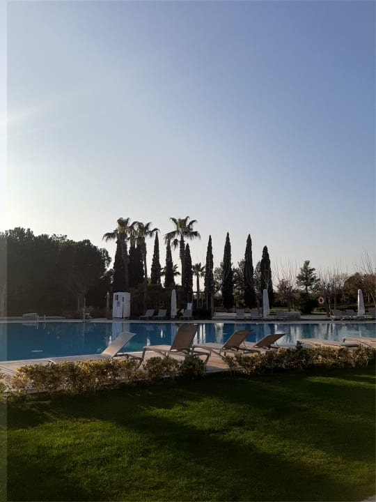 Pool Lara Barut Collection