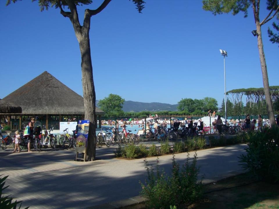 Pool Park Albatros Village
