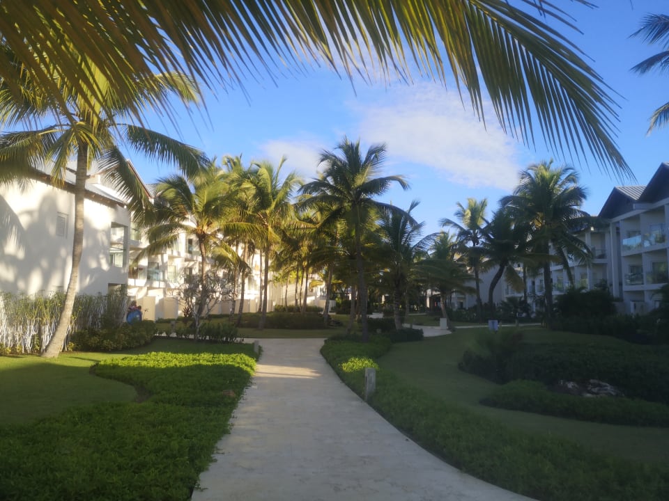 Gartenanlage Secrets La Romana Resort & Spa - Adult Only