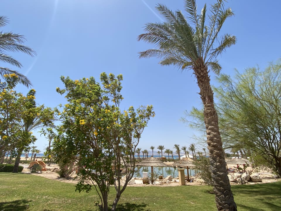 Gartenanlage ROBINSON SOMA BAY