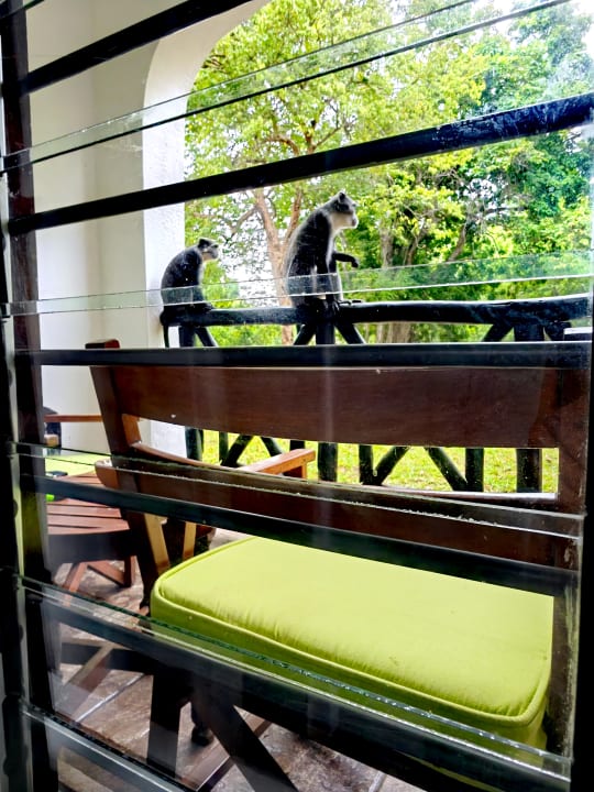 Sonstiges Hotel Papillon Lagoon Reef