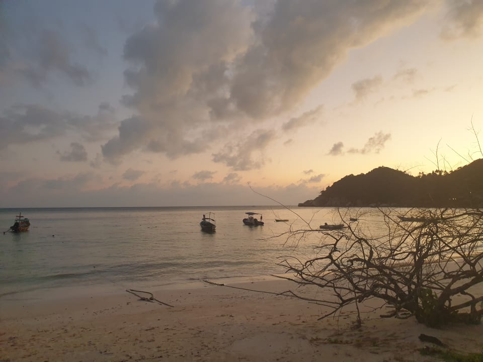 Strand The Haad Tien Beach Resort