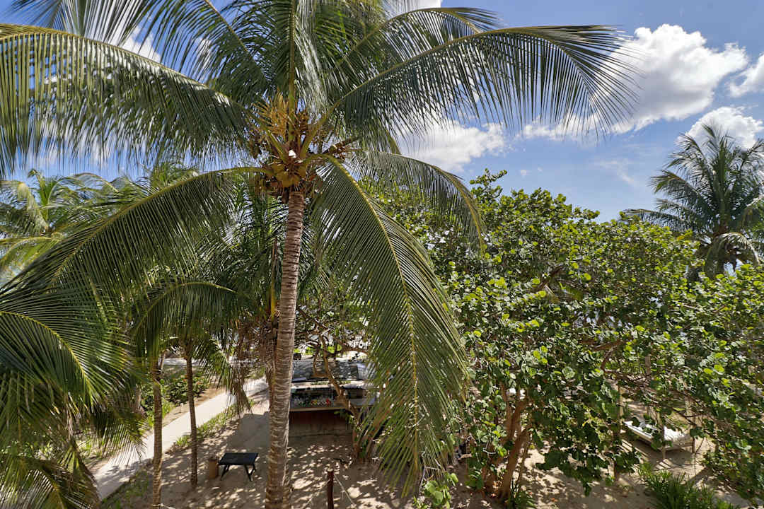 Ausblick Akumal Bay Beach & Wellness Resort
