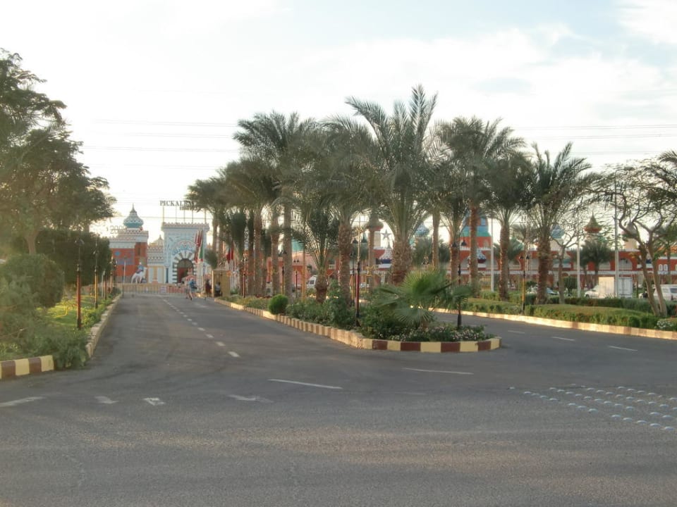Straße zum Hotel Pickalbatros Alf Leila Wa Leila Resort - Neverland Hurghada