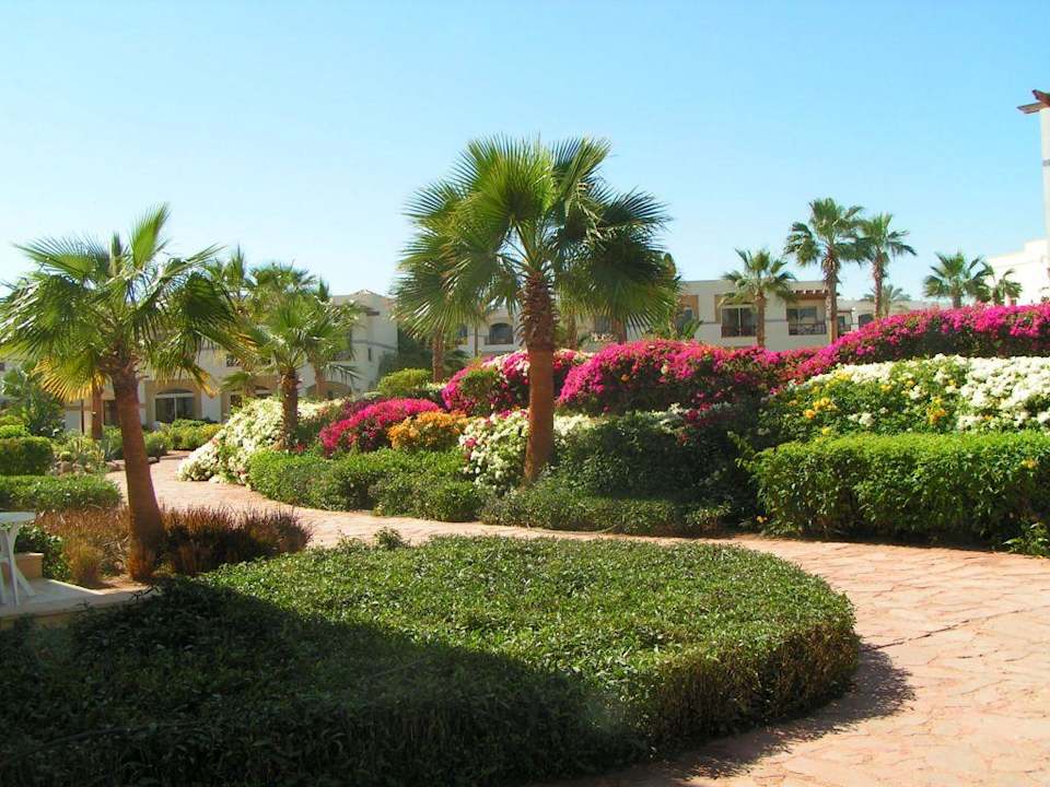 Bajeczny ogród w shores aloha . Amphoras Blu