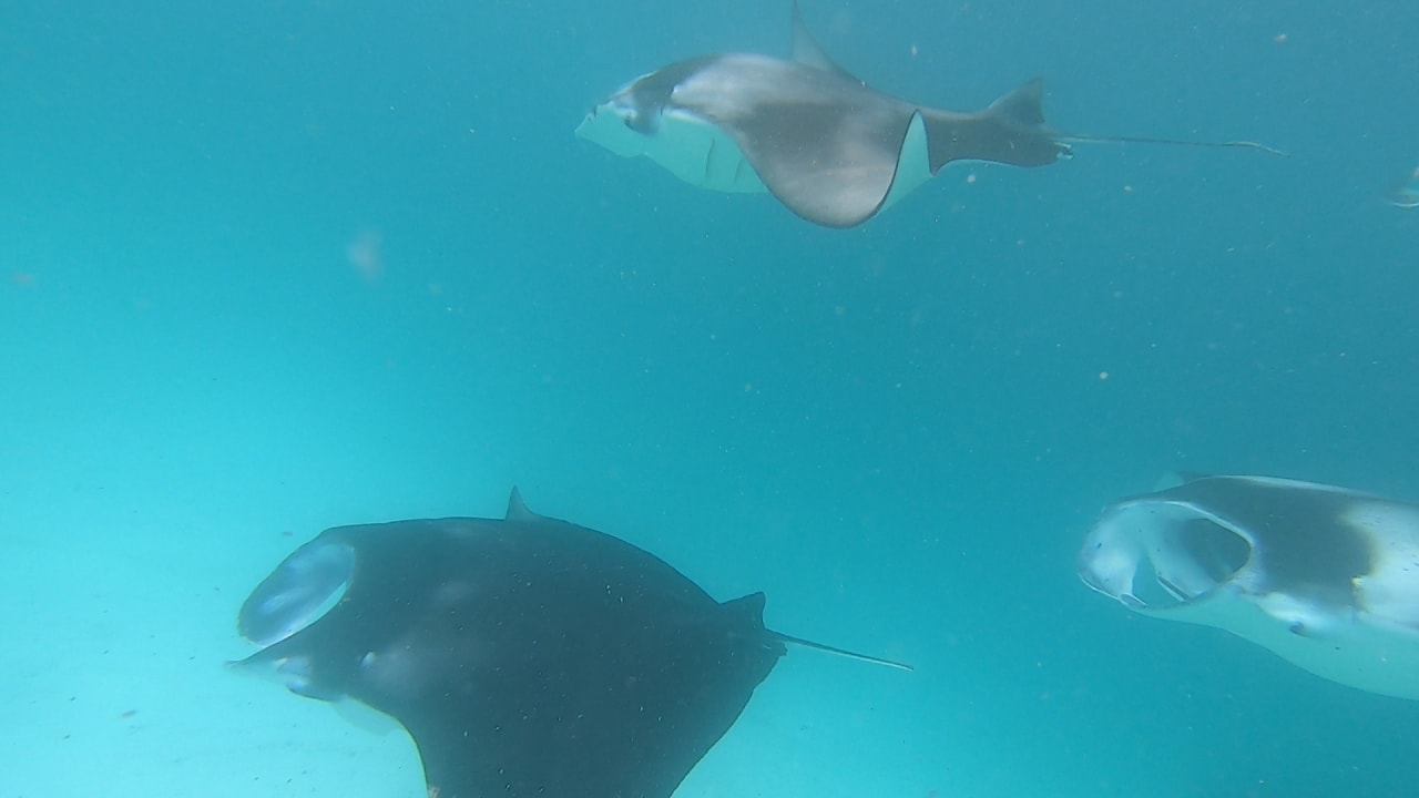 Sport & Freizeit NH Collection Maldives Reethi Resort