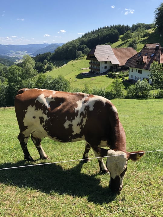 Sonstiges Alt-Rufenhof