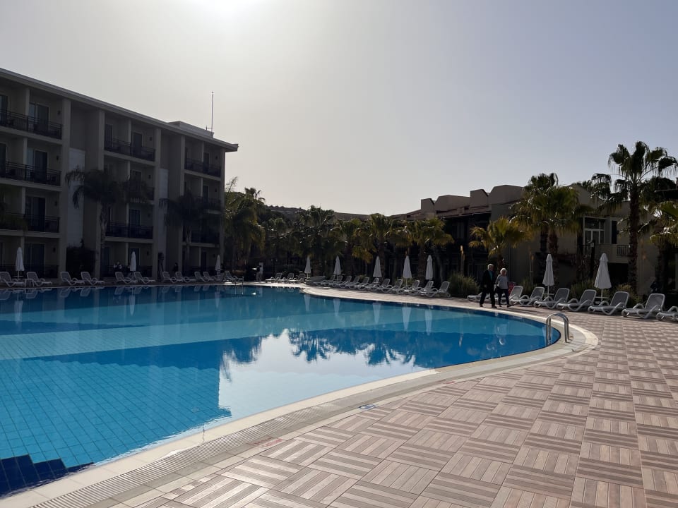 Pool Paloma Oceana