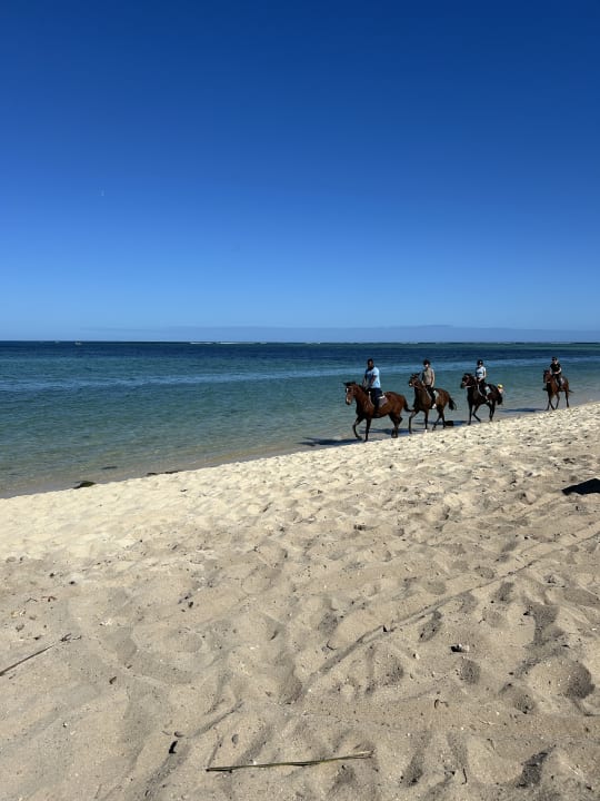 Strand Hotel Riu Turquoise