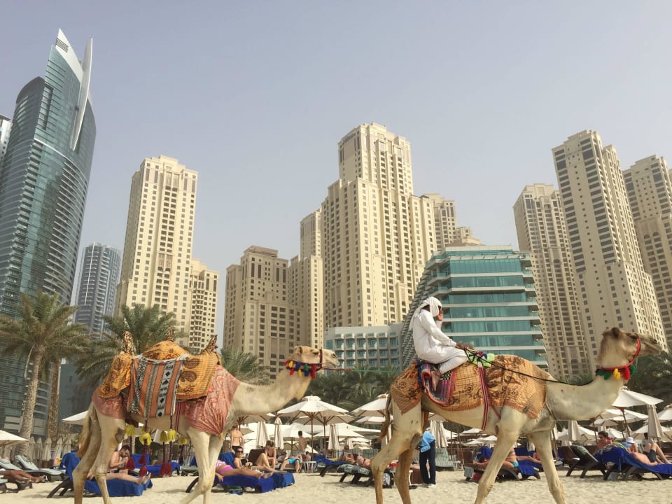 View from the Beach Hilton Dubai Jumeirah