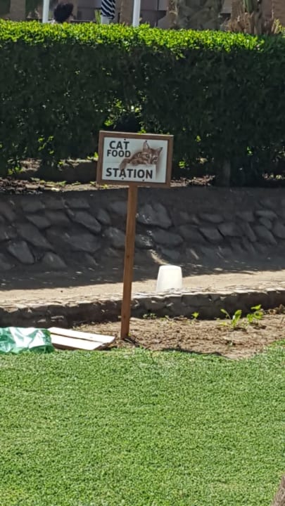 Sport & Freizeit Giftun Azur Resort