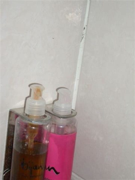 Schimmel Botanik Hotel & Resort