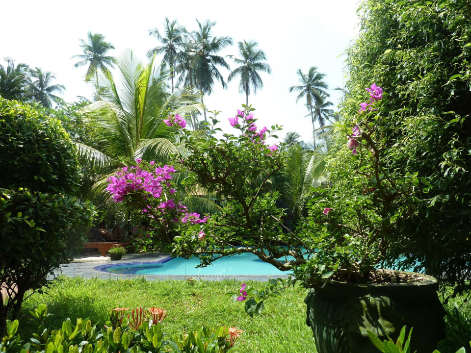 Alles sehr sehr gepflegt Hotel Bentota Village