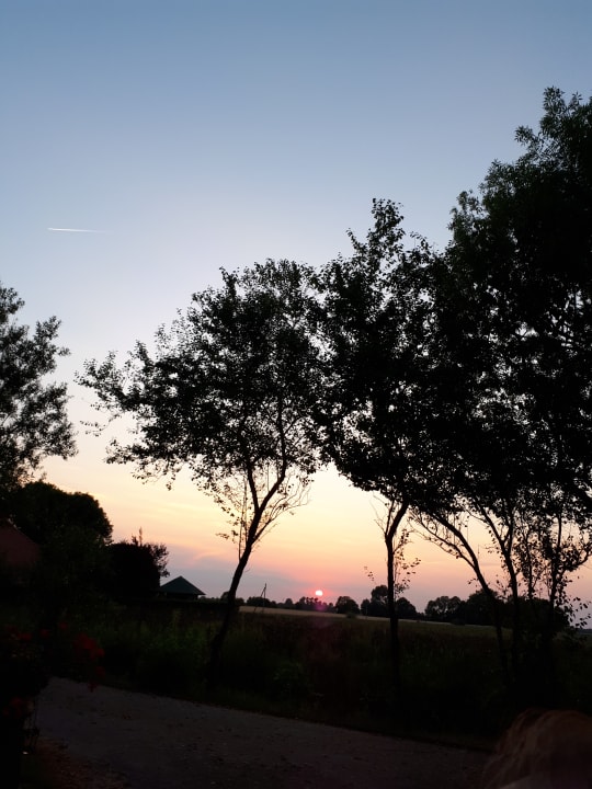 Ausblick Hotelpension Altes Zollhaus-Leybucht
