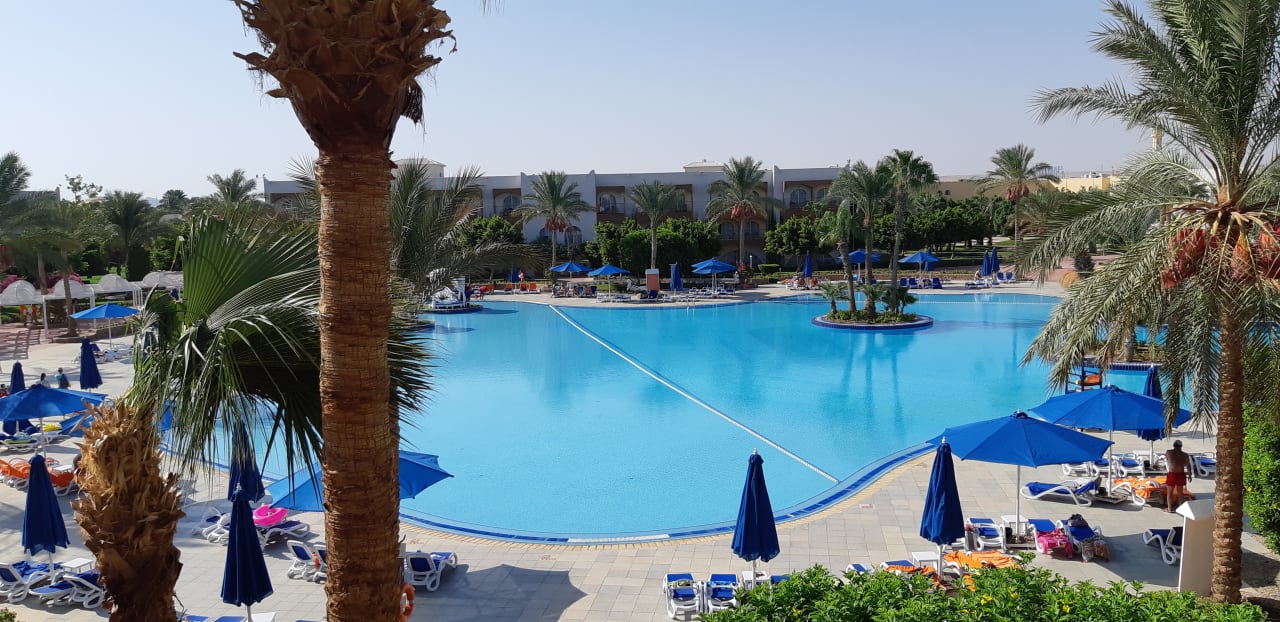 Ausblick  Desert Rose