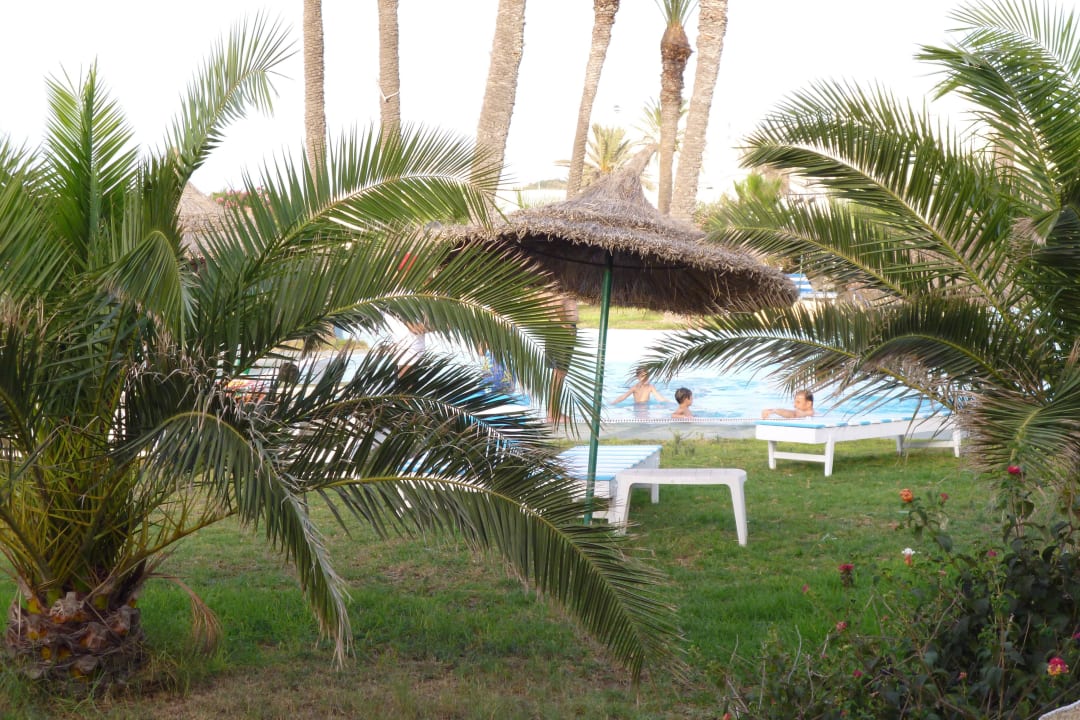 Blick von Zimmerterrasse zum Pool Hotel Les Palmiers