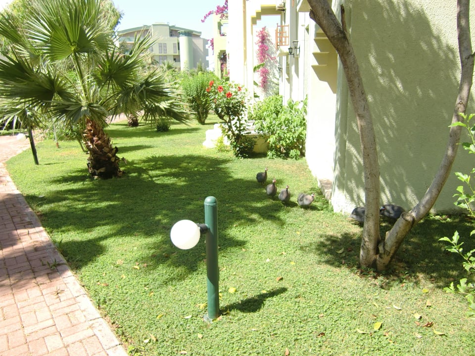 Sehr sauber VONRESORT Golden Beach