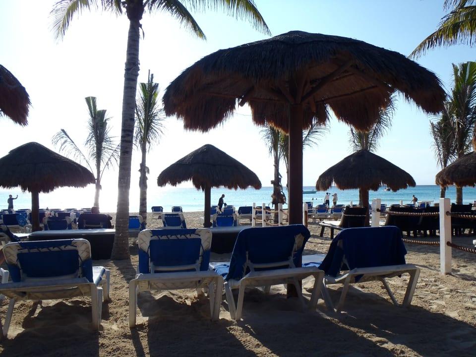 Der Blick auf das Meer Viva Maya by Wyndham - All Inclusive Resort
