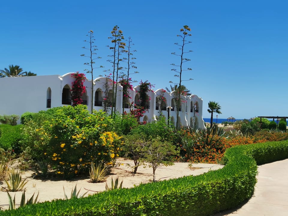 Außenansicht Hotel Gorgonia Beach Resort