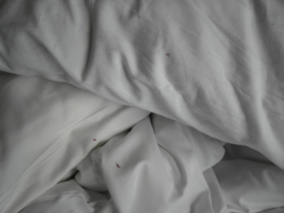 Blutige Bettwäsche Suites Viena Plaza de España