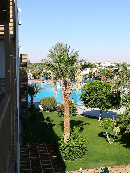 Außenansicht Desert Rose