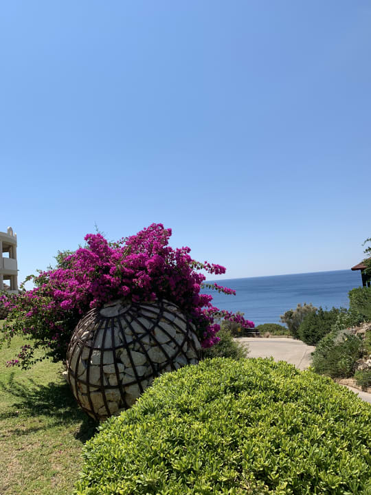 Gartenanlage Hotel Kalithea Horizon Royal