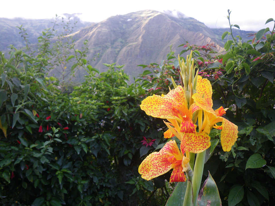 Jardin ecolojico B&B La Casa Amarilla