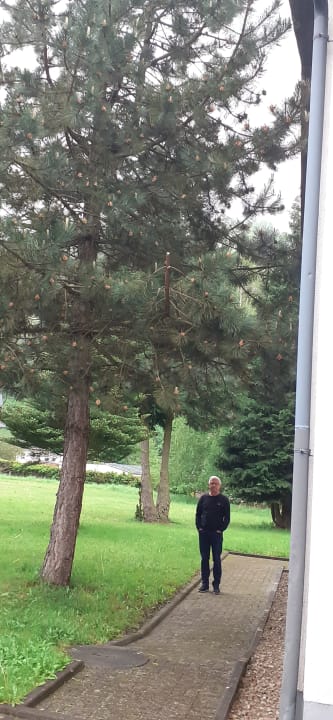 Außenansicht Berghotel Mellenbach