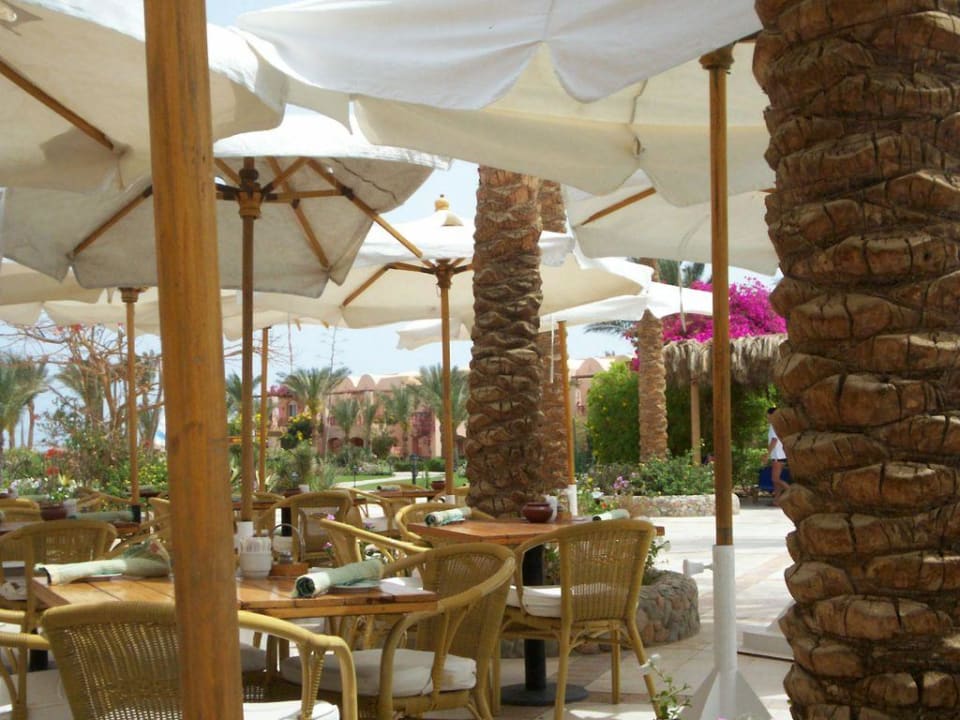 Poolbar Iberotel Makadi Beach