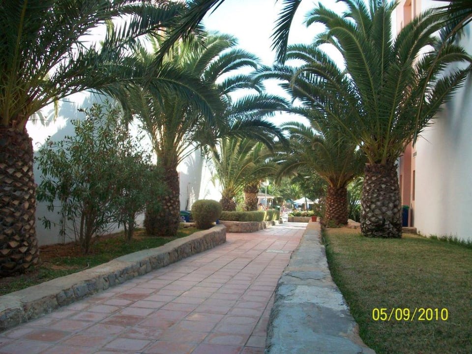Weg zum Haus Ushuaia Ibiza Beach Hotel - The Tower / The Club - Adults only