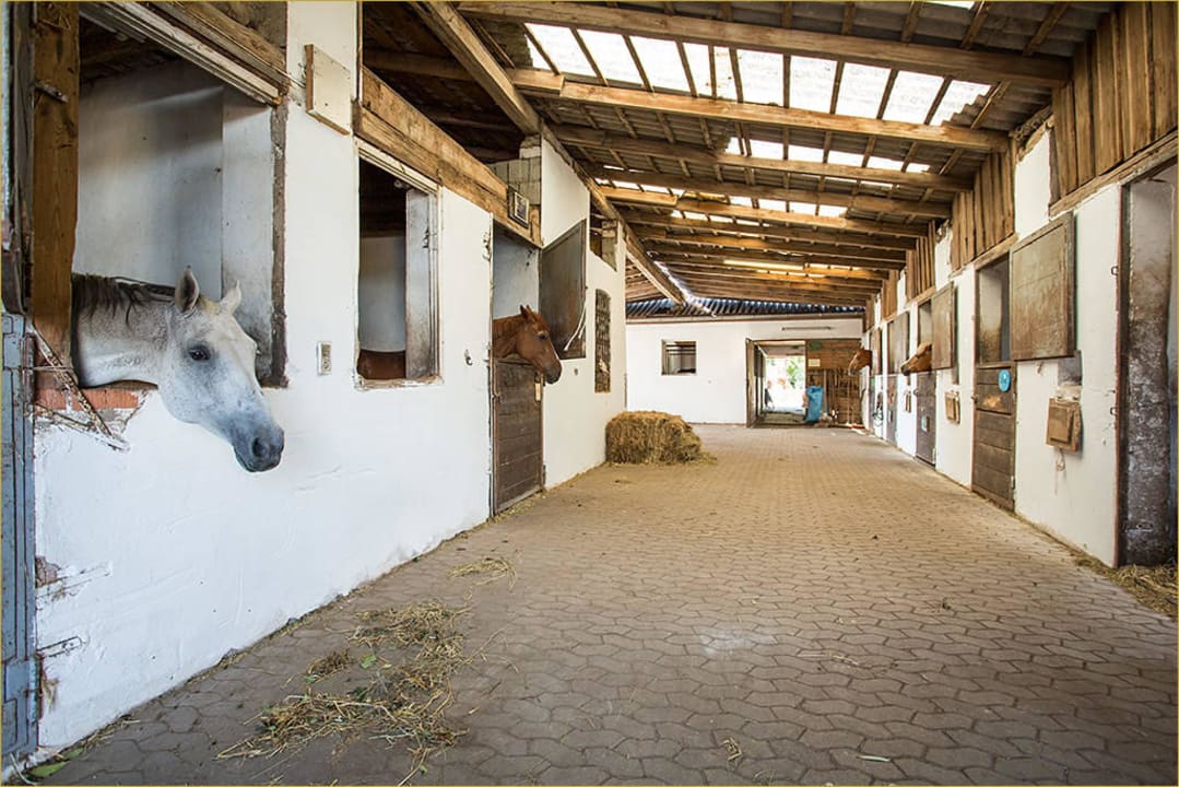 Rundgang per FotoShooting Sommer 2015 Hotel Reiterhof Altmühlsee