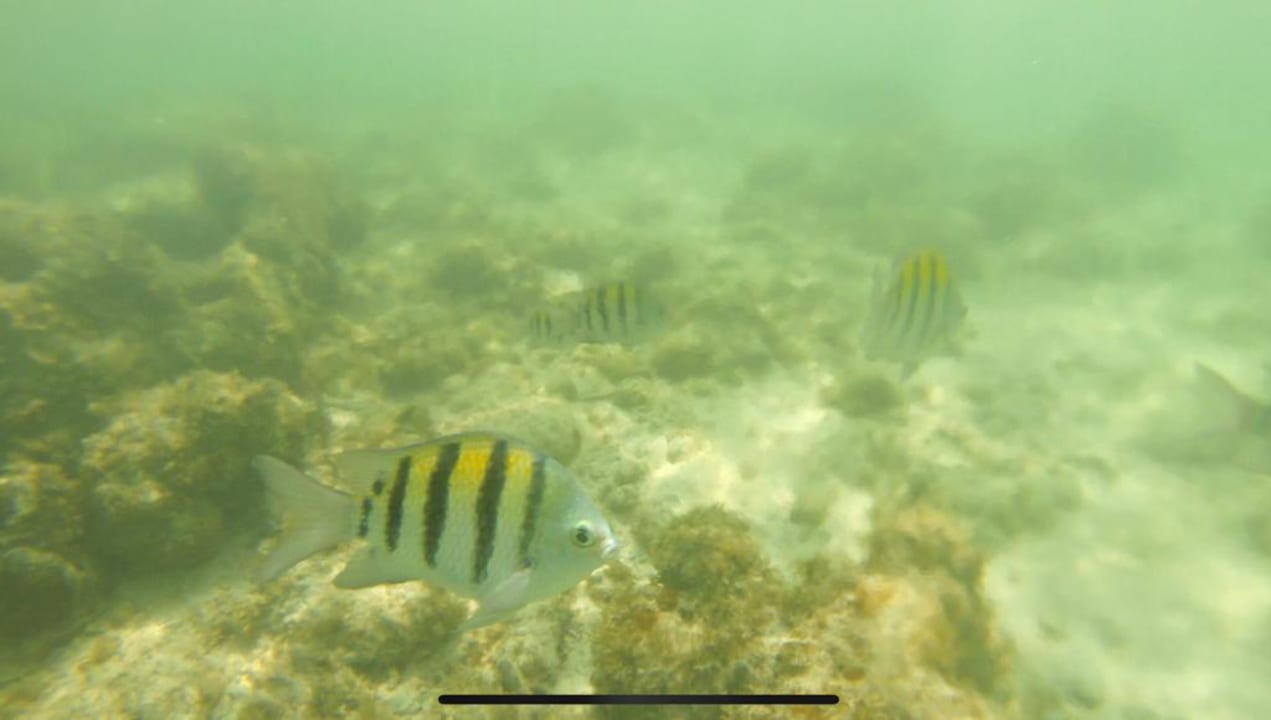 Sport & Freizeit Akumal Bay Beach & Wellness Resort