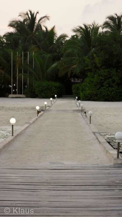 Blick vom Jetty zur Insel Summer Island Maldives