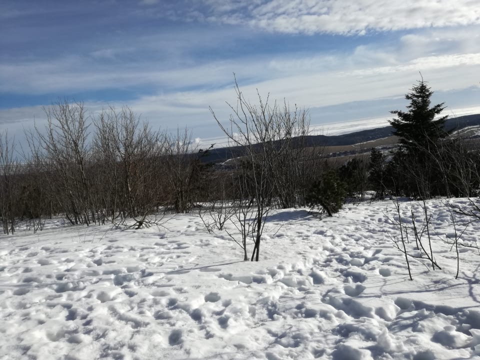 Ausblick auf den Fichtelberg Elldus Resort - Familotel Erzgebirge