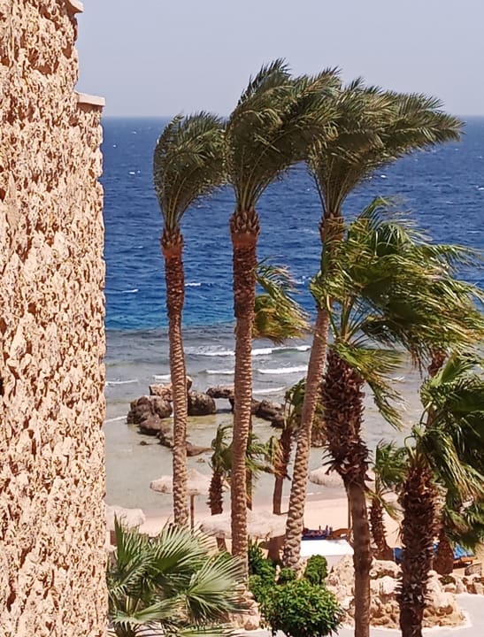 Strand Pickalbatros Citadel Resort