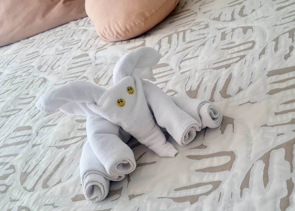 Zimmer Son Moll Sentits Hotel & Spa