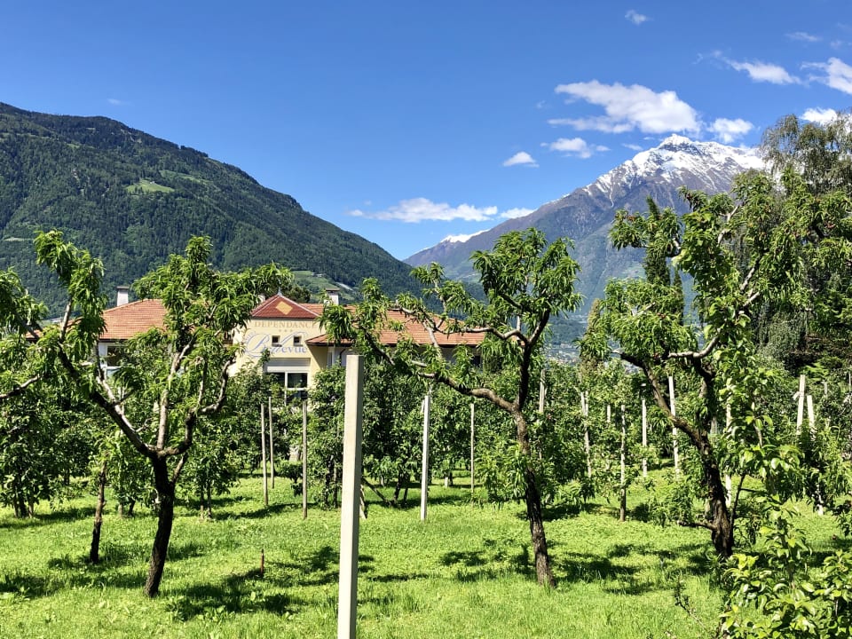 Gartenanlage Hotel Bellevue