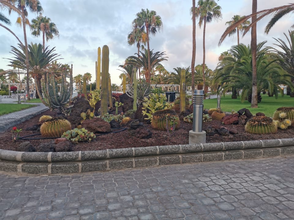 Gartenanlage Hotel Riu Gran Canaria