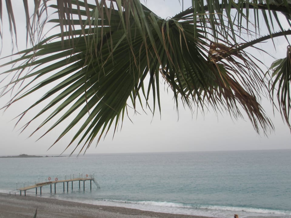 Пляж Botanik Hotel & Resort