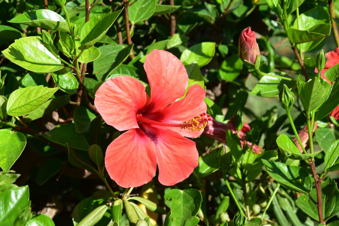 Gartenanlage TUI KIDS CLUB Alex Beach