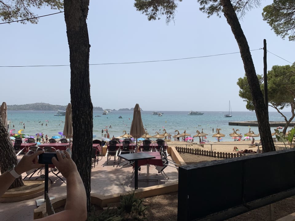 Strand allsun Hotel Bella Paguera