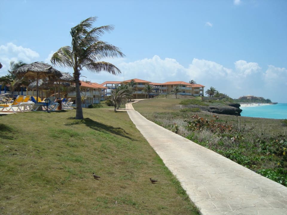 Hotel Occidental Allegro Varadero Sirenis Tropical Varadero