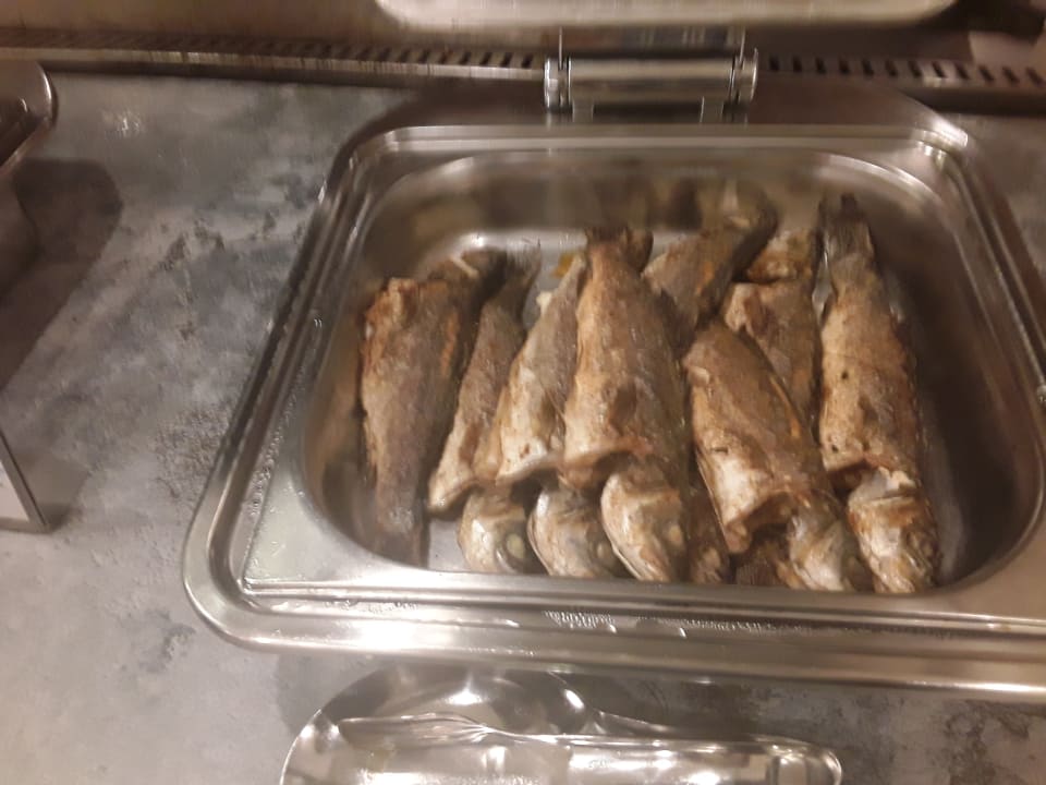 Gastro Aska Hotel Just in Beach